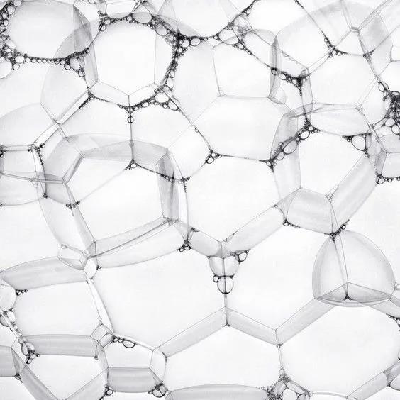 77779193永利官网(集团)有限公司